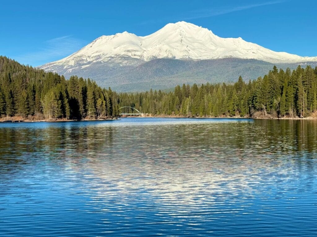 11th Grade_People's Choice_Ilknur F.