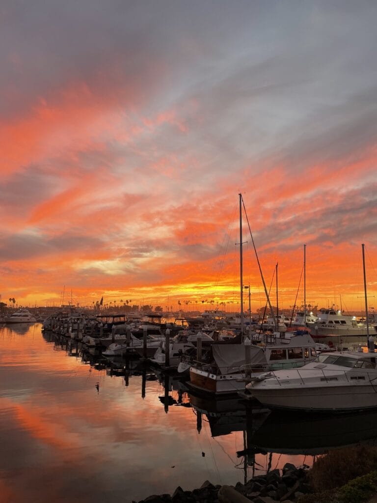 5th Grade_1st Place_Milan G.