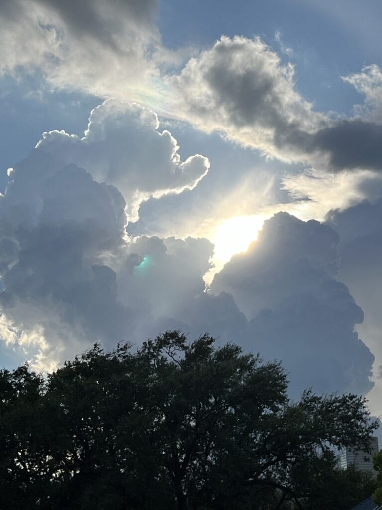 5th Grade_People's Choice_Abigail L.