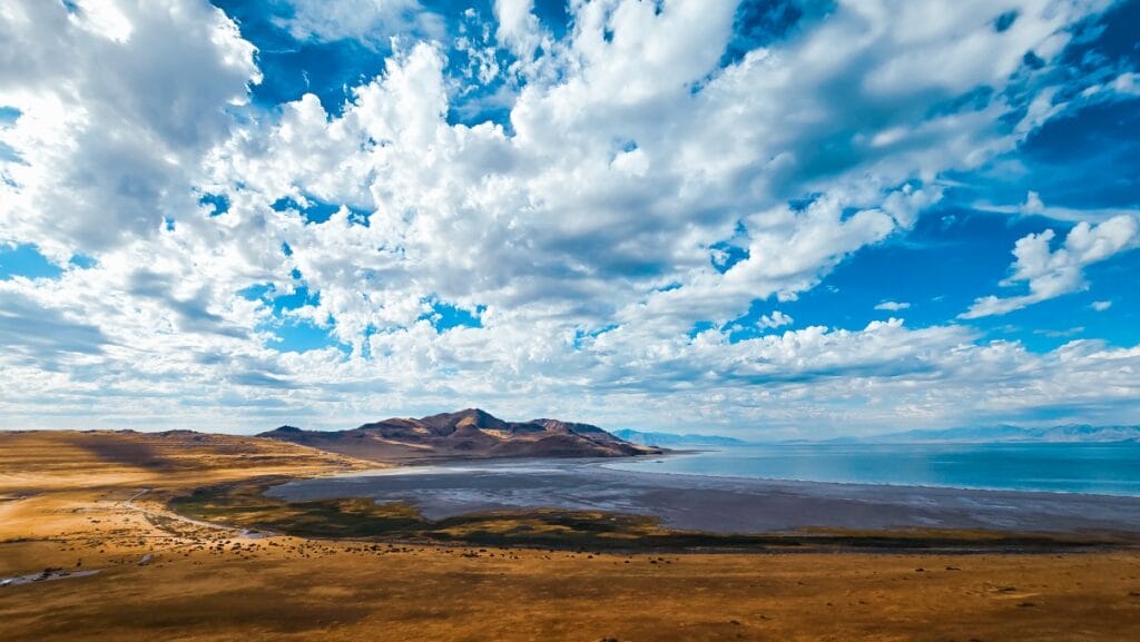 6th Grade_2nd Place_Willow R.