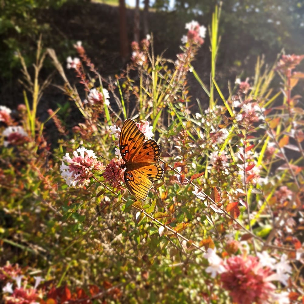 8th Grade_1st Place_Sophia K.