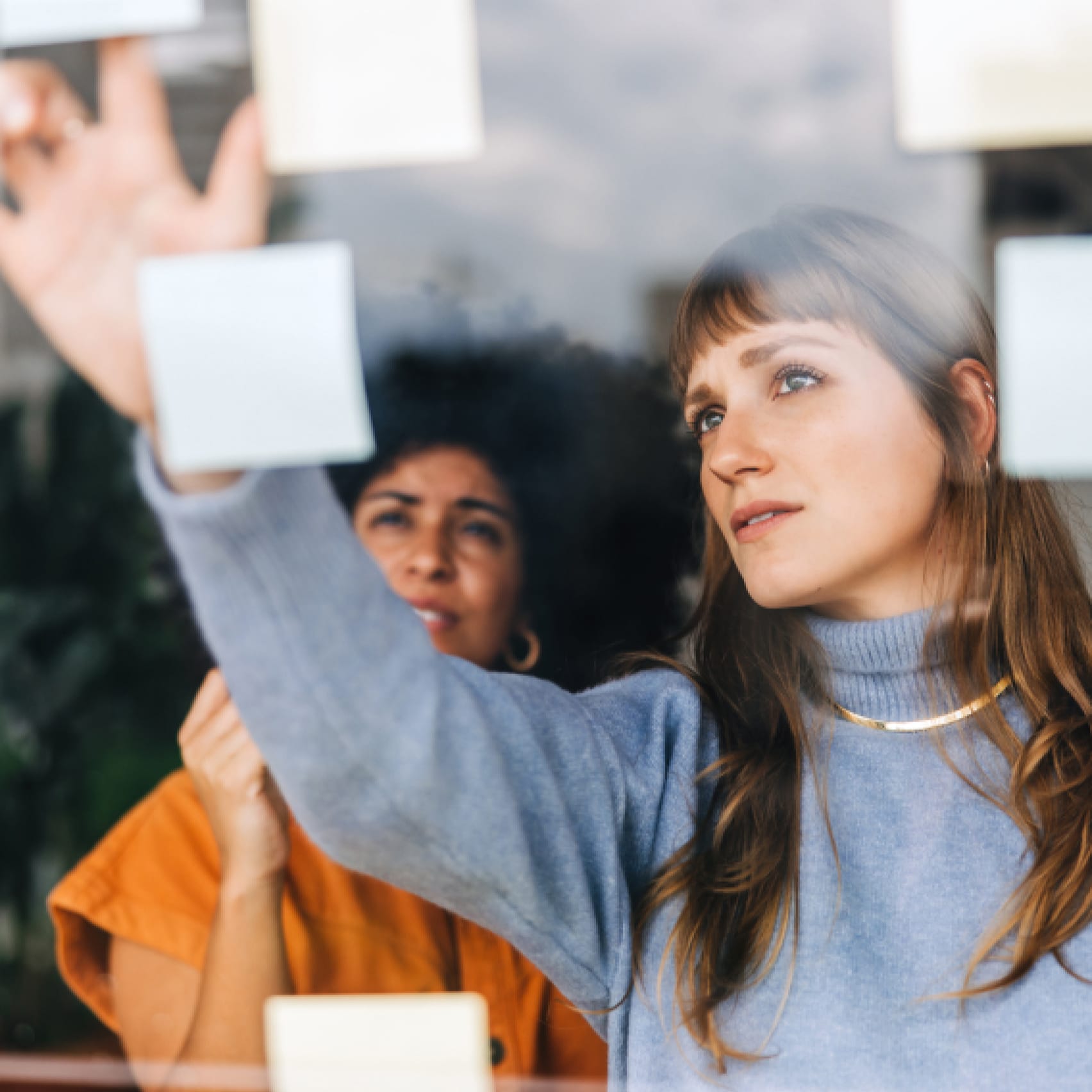 Graduate Success image 41 (name Big problem ahead No problem 568x568 copy)