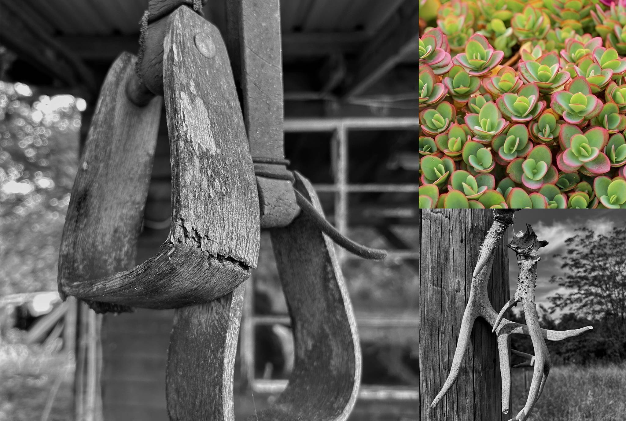 Spotlight on Talent: Meet the Winners of the 2024 K12 Photography Competition