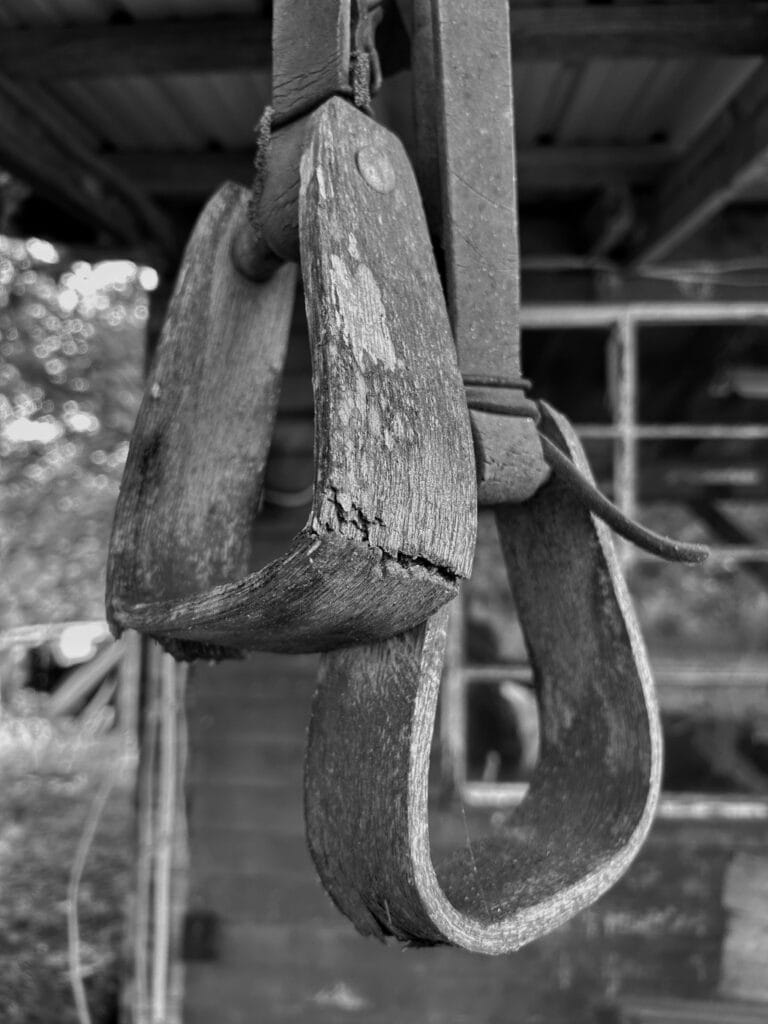 Kindergarten_1st Place_Serenity B.