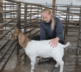 Jaelynn image 29 (name Photo 2)