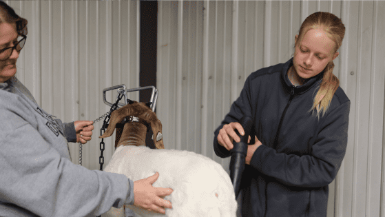 Jaelynn image 31 (name Photo 4)