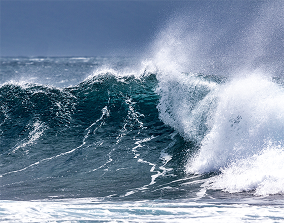 Sample Lessons for K12’s K-8 Curriculum image 24 (name waves)